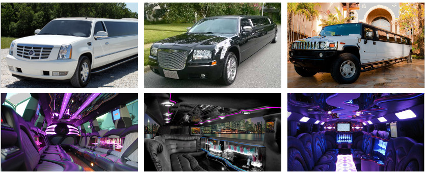 birthday party limo rental