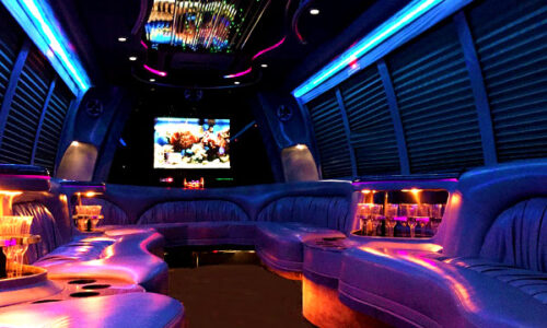 18 passenger party bus NY