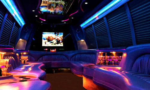 18 people party bus interior