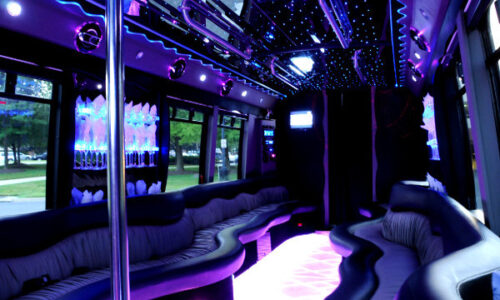 22 people Amsterdam party bus