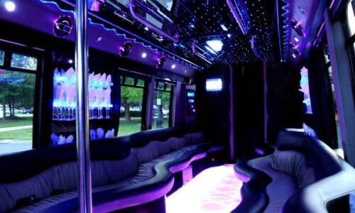 22 people party bus