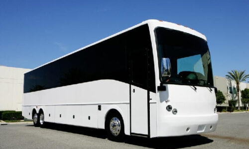 40 Passenger party bus Amsterdam