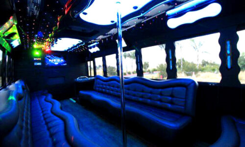 40 people party bus Amsterdam