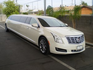 professional transportation service