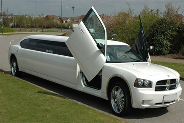 professional limousine service