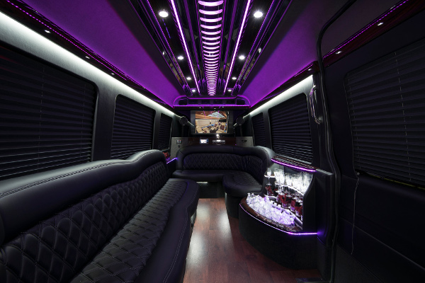 12 Passenger Party Buses Avoca